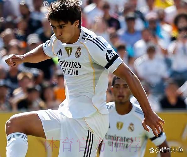 泽-罗伯托-阿隆索拥有现代理念 他注定会执教皇马